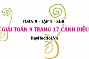 Giải Toán 9 trang 17 tập 1 Cánh Diều SGK